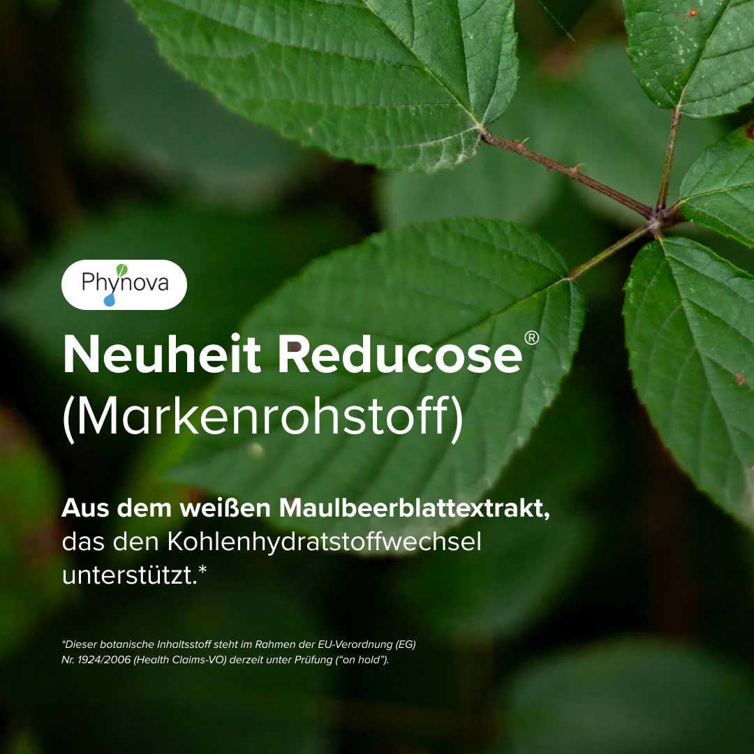 Dietbacs® - Image 3
