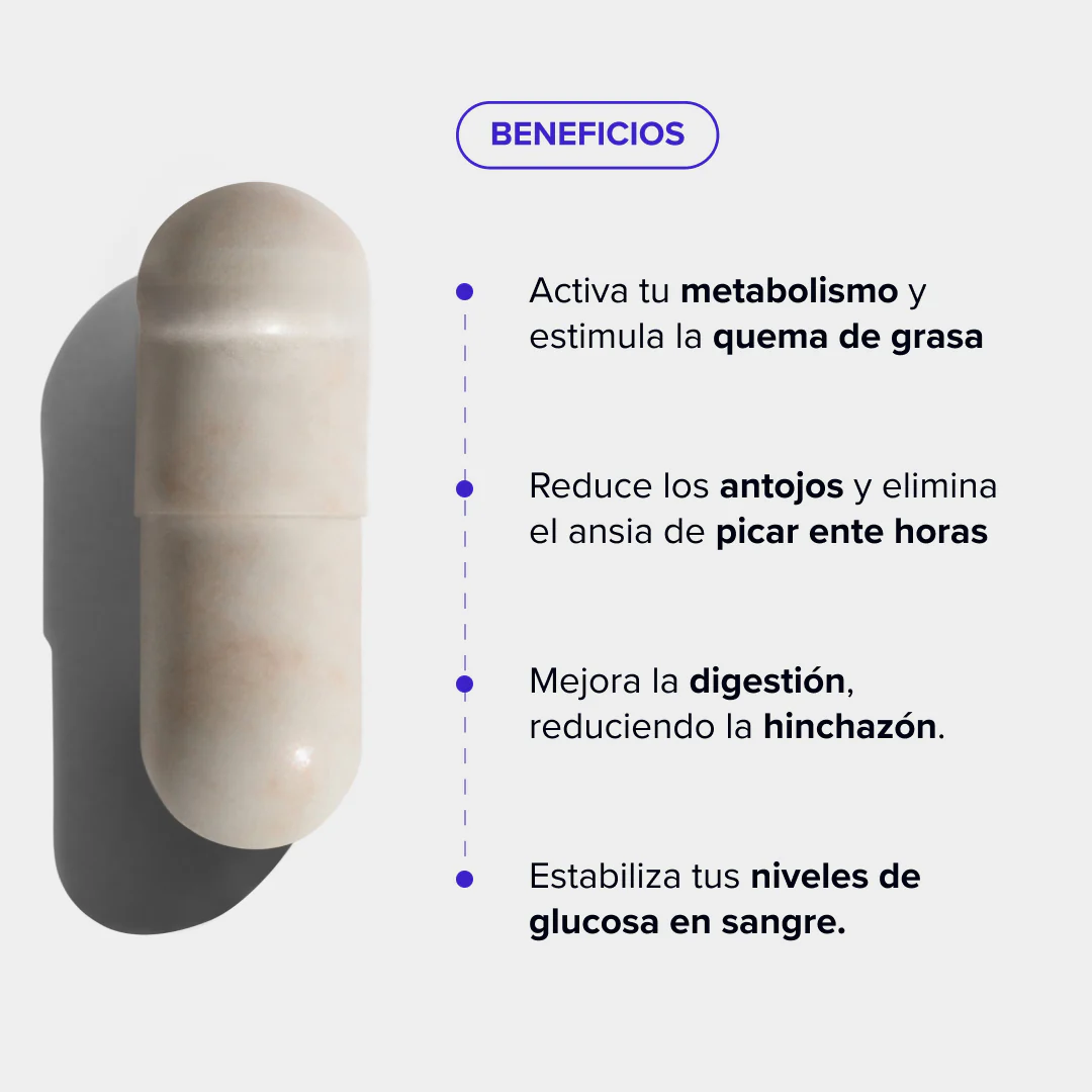 Dietbacs - Image 2