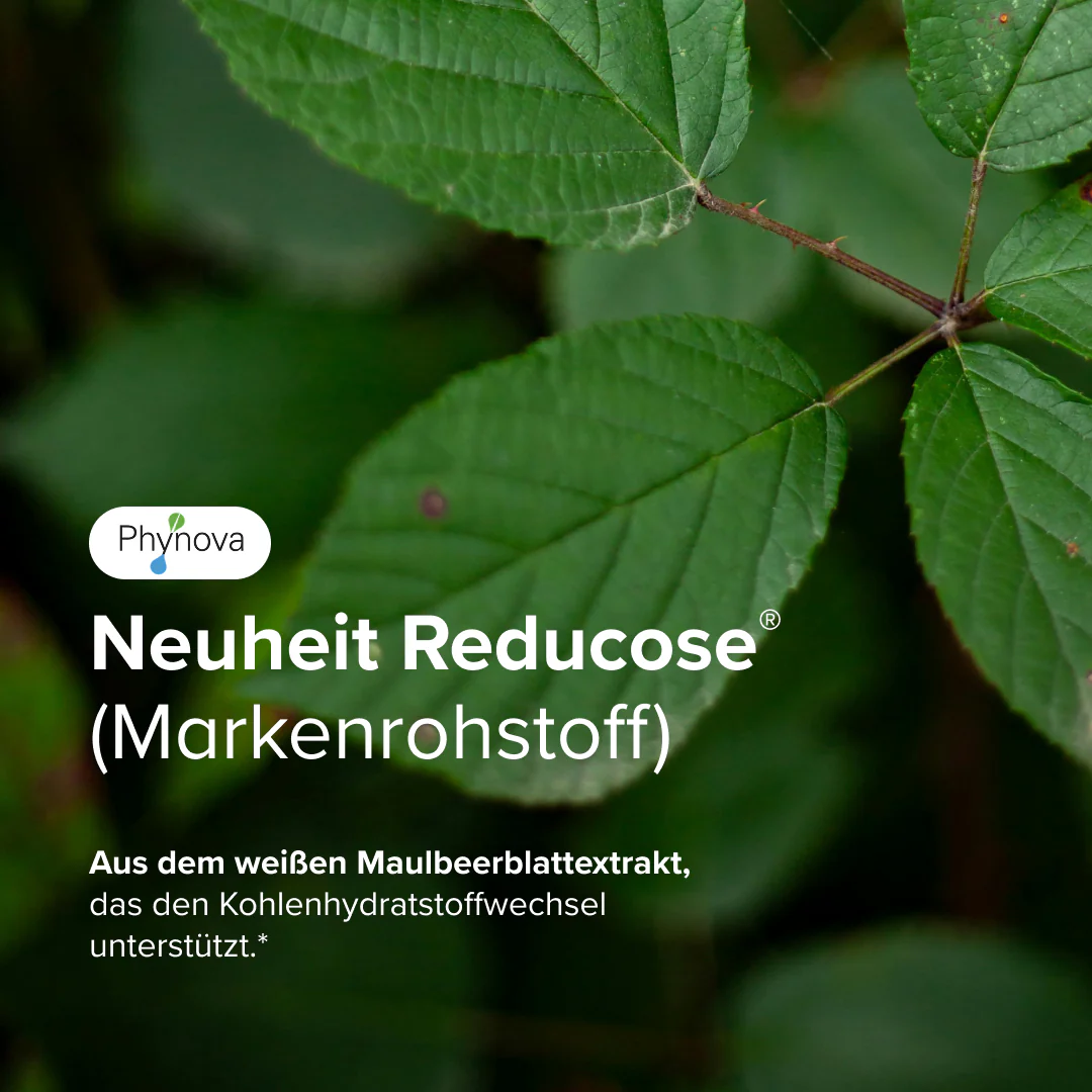 Dietbacs® - Image 3